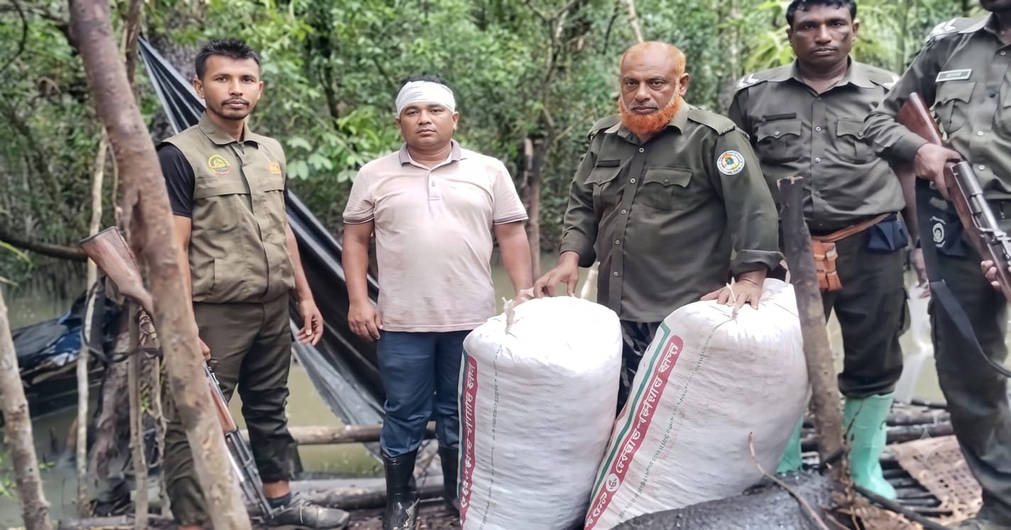 চরাপুটিয়ায় বন বিভাগের অভিযানে শুঁটকি চিংড়ি, নৌকা ও জাল জব্দ